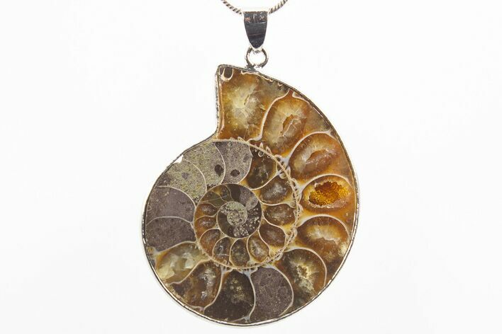 Fossil Ammonite Pendant - Million Years Old #306419